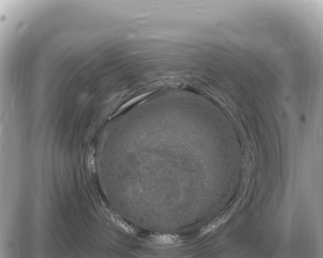 X0000087570432200705041423