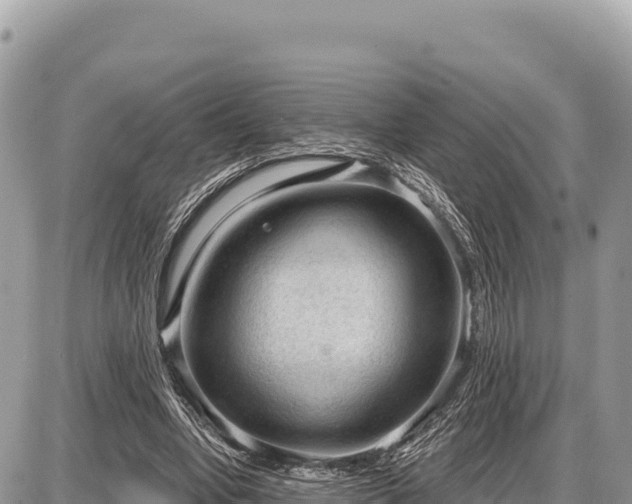 X0000087570442200705041422