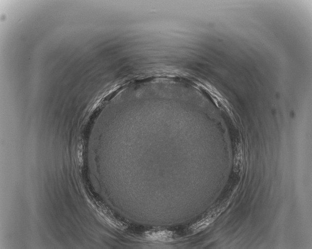 X0000087570452200705041422