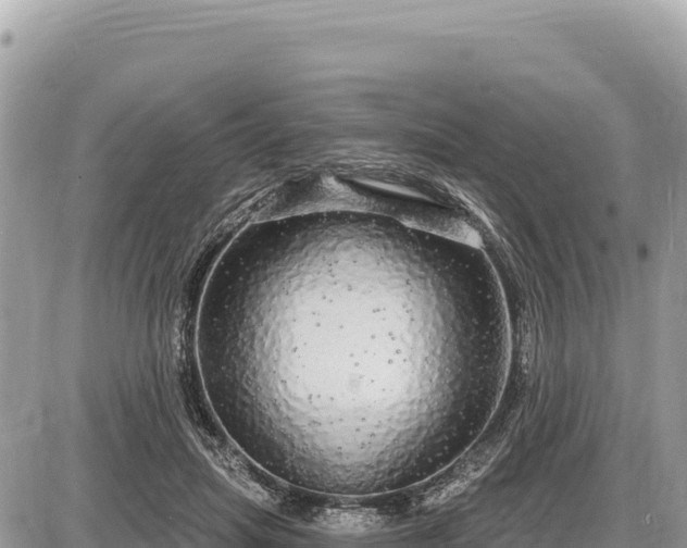 X0000087570455200705041422