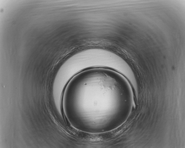 X0000087570456200705041422