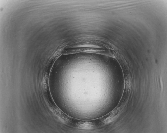X0000087570460200705041422