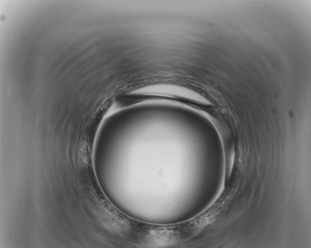 X0000087570470200705041422
