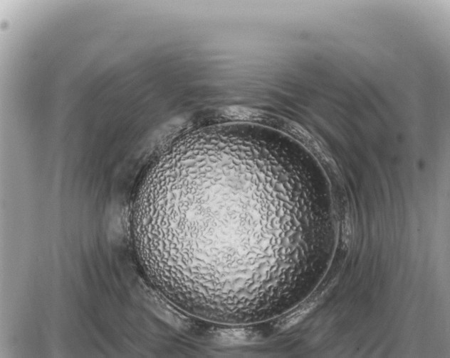 X0000087570473200705041423