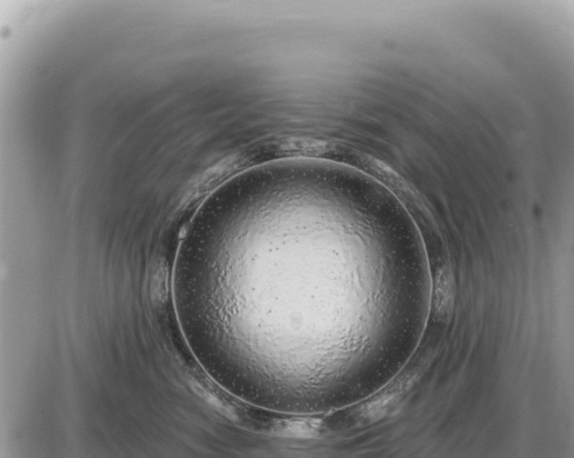X0000087570474200705041423