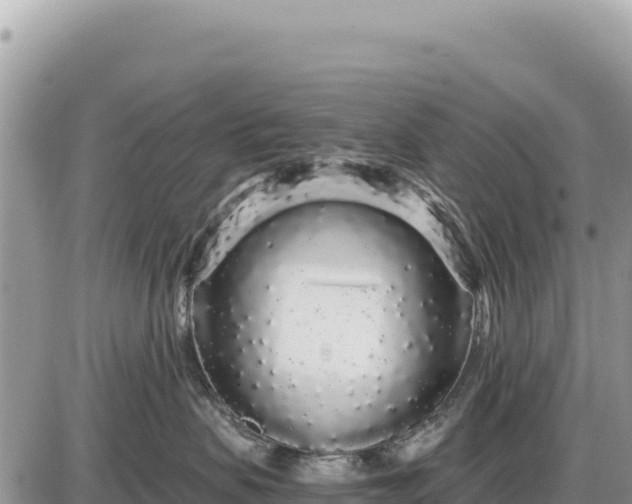 X0000087570479200705041423