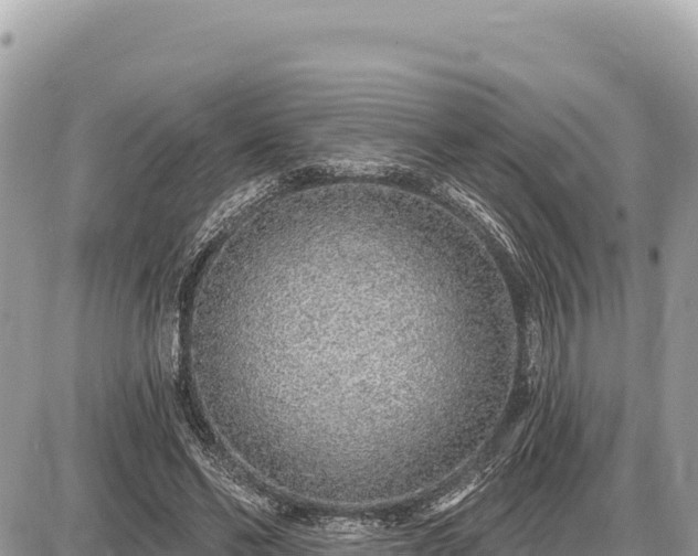 X0000087570494200705041422