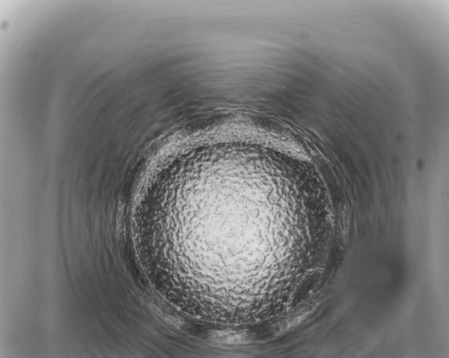X0000087570511200705041421