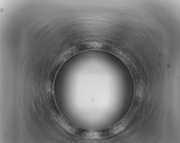 X0000087570518200705041421