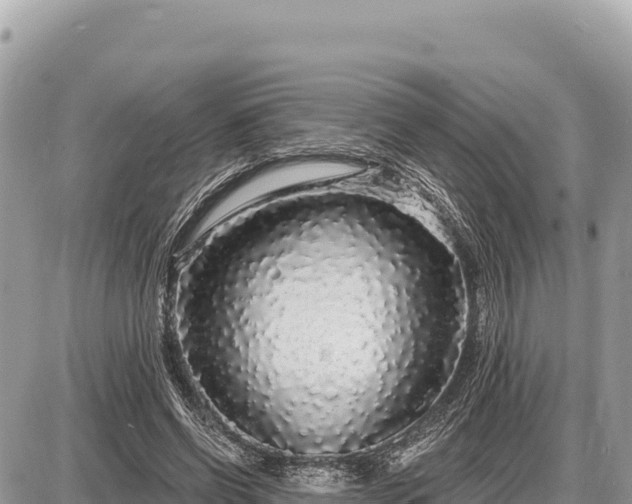 X0000087570542200705041421