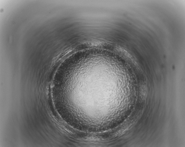 X0000087570545200705041421