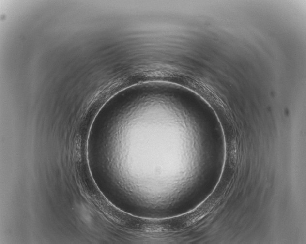 X0000087570547200705041421