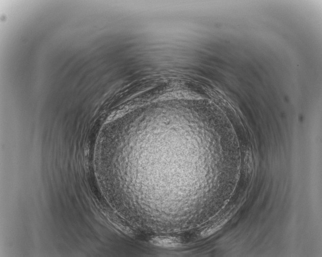 X0000087570557200705041421