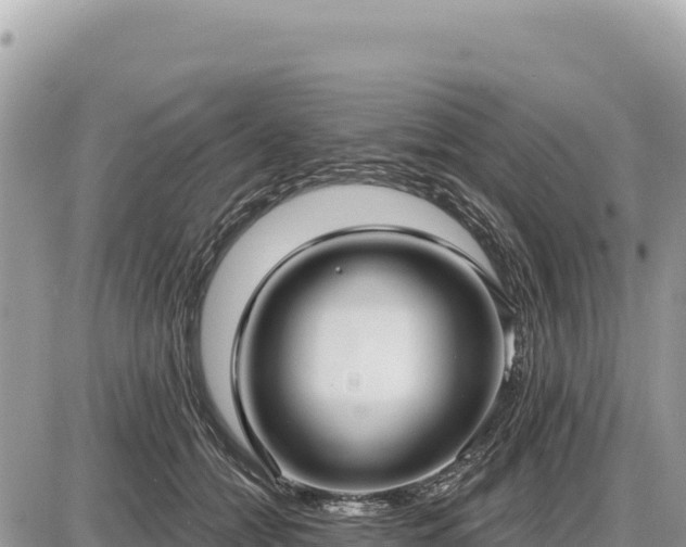 X0000087570558200705041421