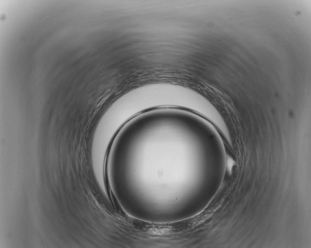 X0000087570560200705041421