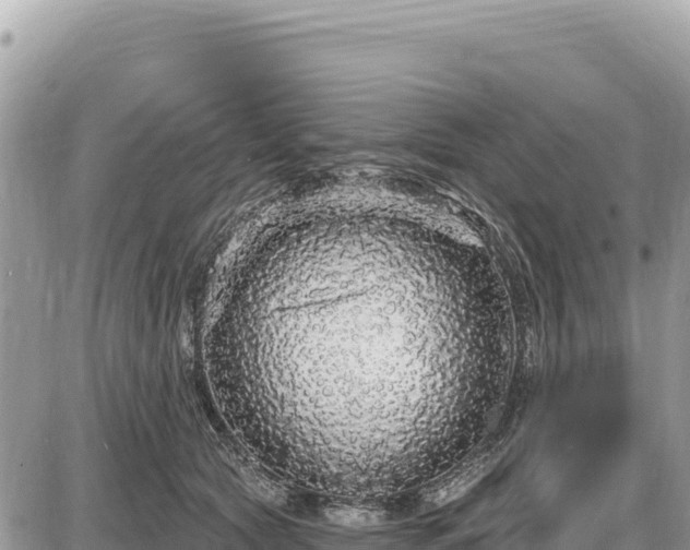 X0000087570561200705041421