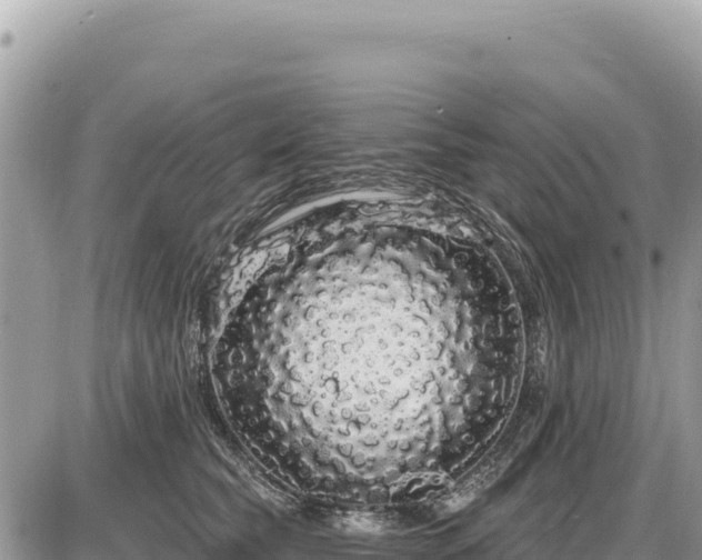 X0000087570565200705041421