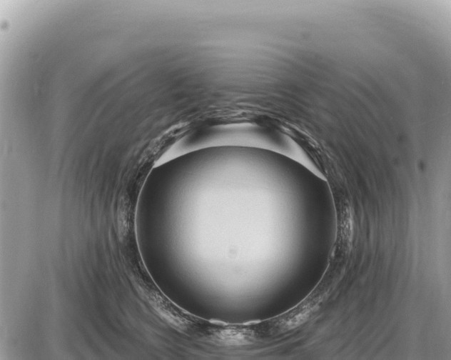 X0000087570566200705041421