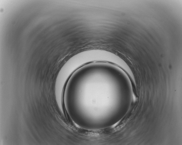 X0000087570572200705041421