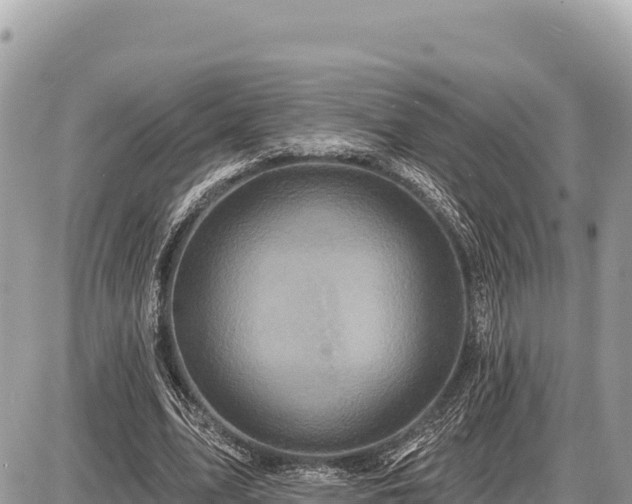 X0000087570583200705041420