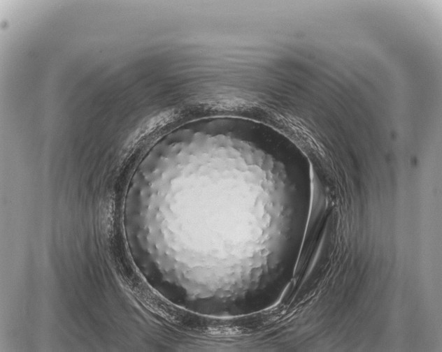 X0000087570591200705041420