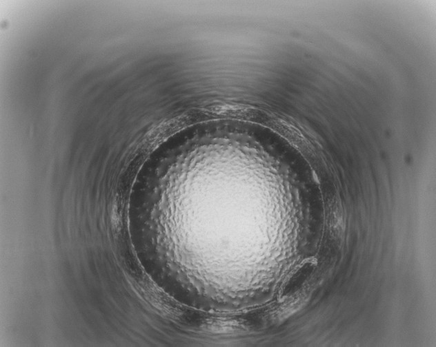 X0000087570607200705041420