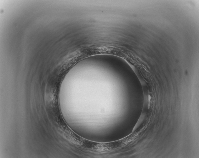 X0000087570608200705041420
