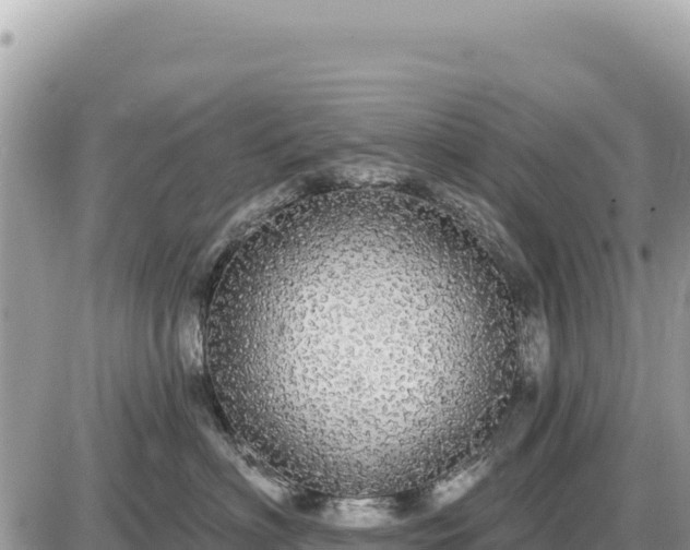 X0000087570622200705041420