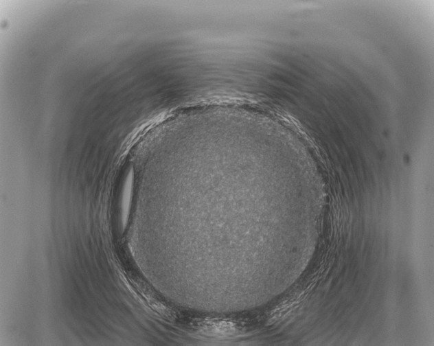 X0000087570640200705041419