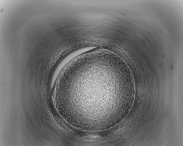 X0000087570642200705041419