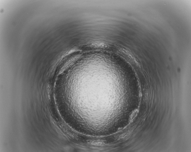 X0000087570643200705041419