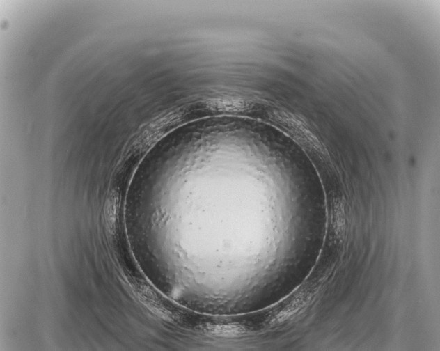 X0000087570645200705041419