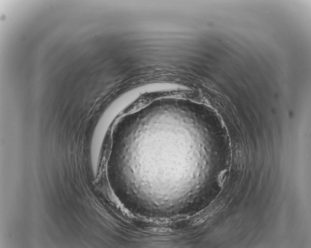 X0000087570654200705041419
