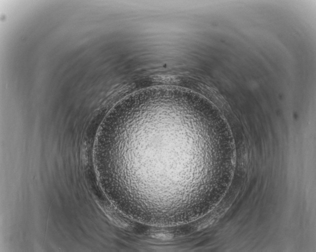 X0000087570658200705041419