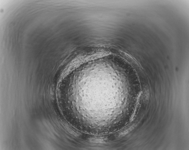 X0000087570661200705041419