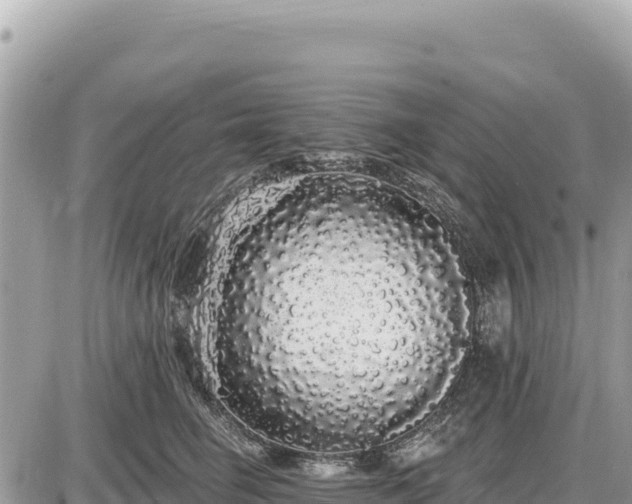 X0000087570662200705041419