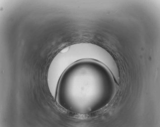 X0000087570672200705041419