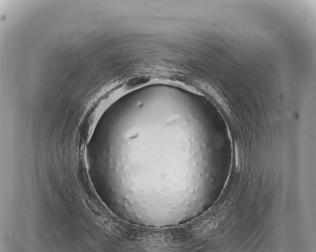 X0000087570675200705041419