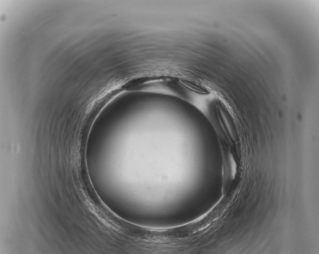 X0000087570677200705041419