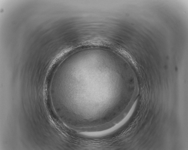 X0000087570680200705041419