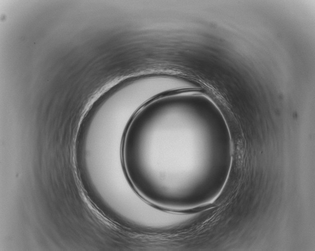 X0000087570726200705041417