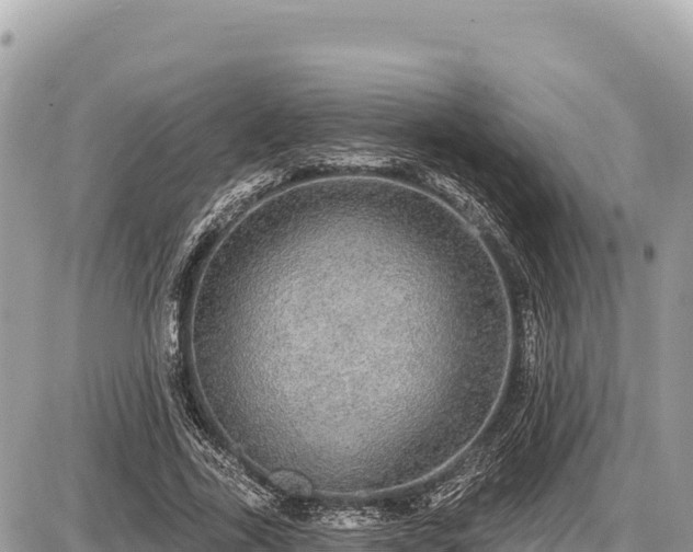 X0000087570731200705041417
