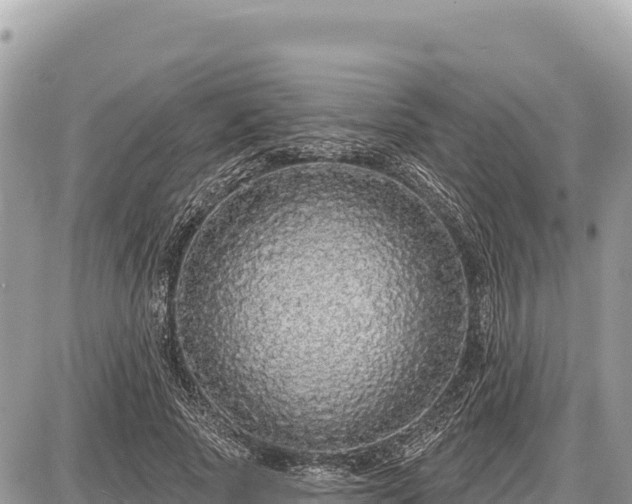 X0000087570737200705041417