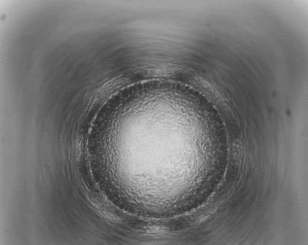 X0000087570741200705041417