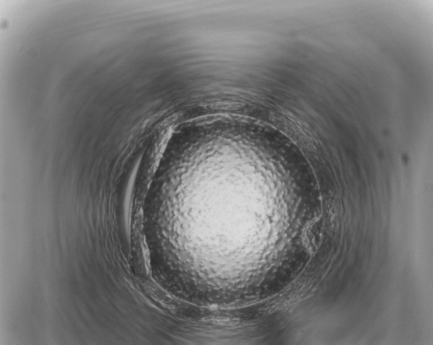 X0000087570745200705041418