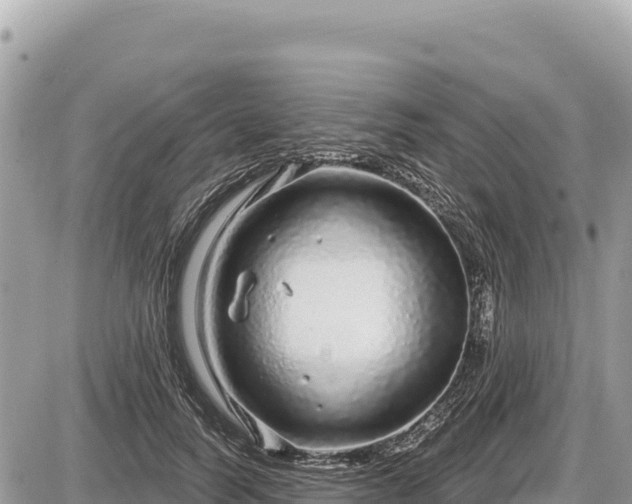 X0000087570746200705041418