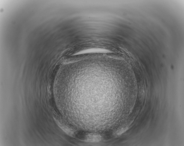 X0000087570749200705041418