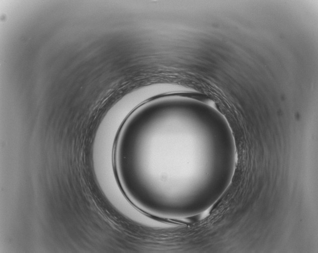 X0000087570750200705041418