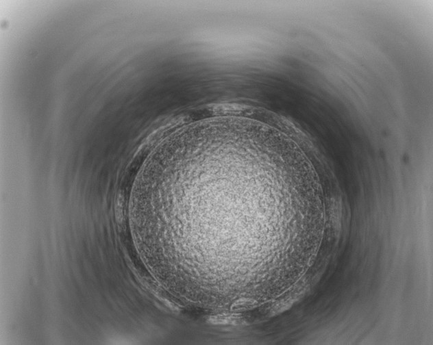 X0000087570761200705041418