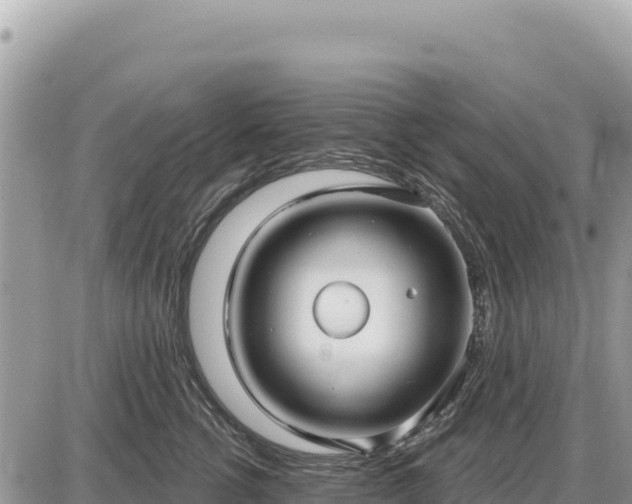 X0000087570762200705041418